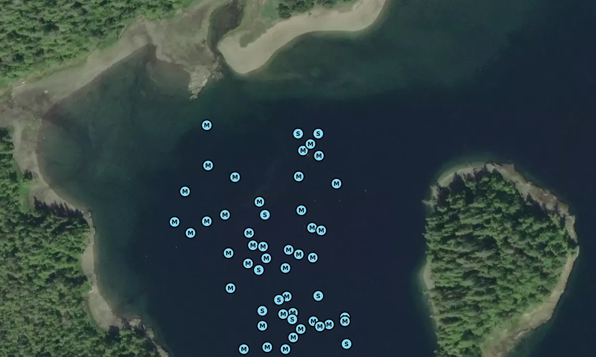 Satelite image of Winstanley Island