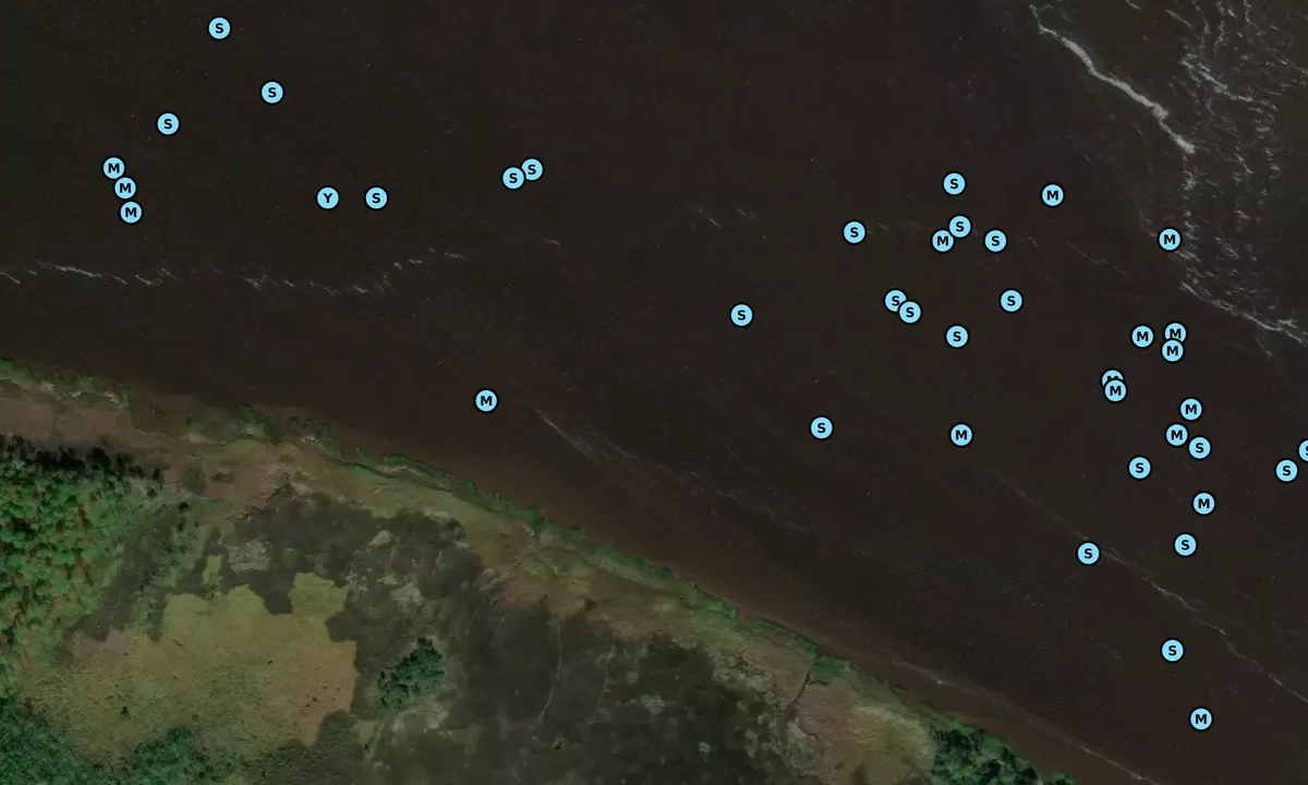 Satelite image of Winyah Bay West