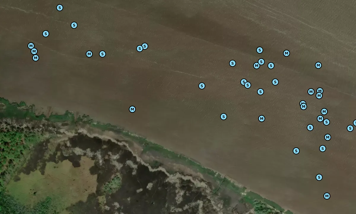 Satelite image of Winyah Bay West