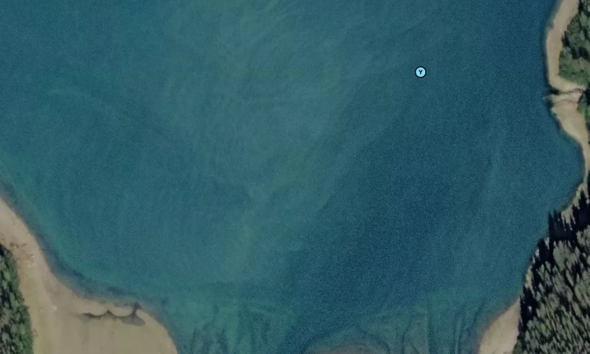 Satelite image of Wood Lake Creek