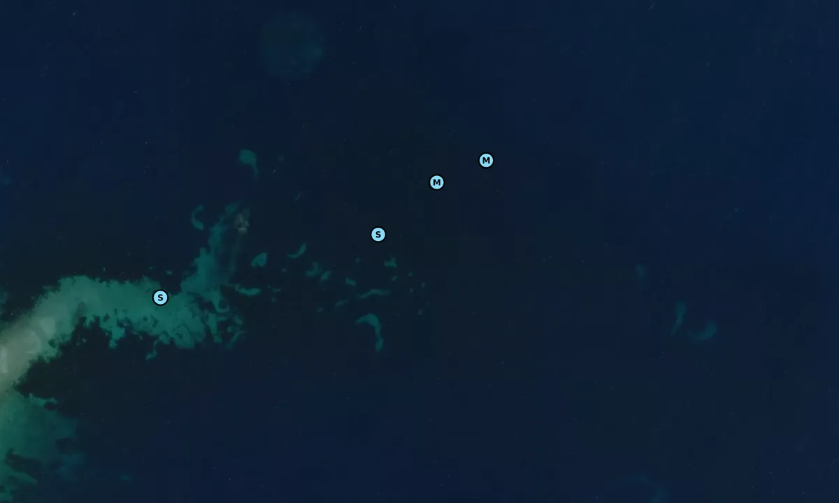 Satelite image of Wreck Michelle
