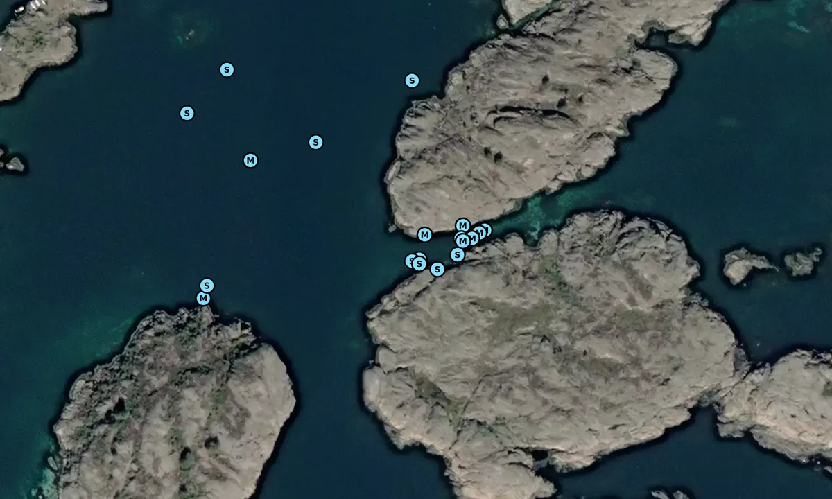 Satelite image of Ytre Risholmen