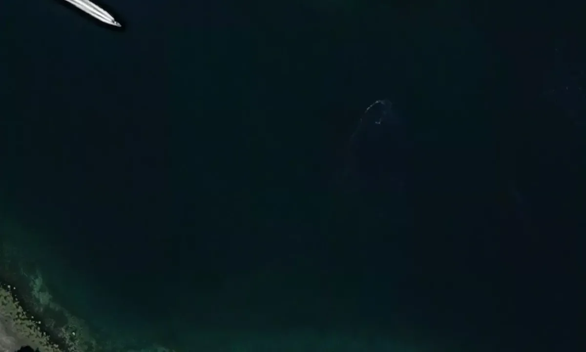 Satelite image of ytterholmen