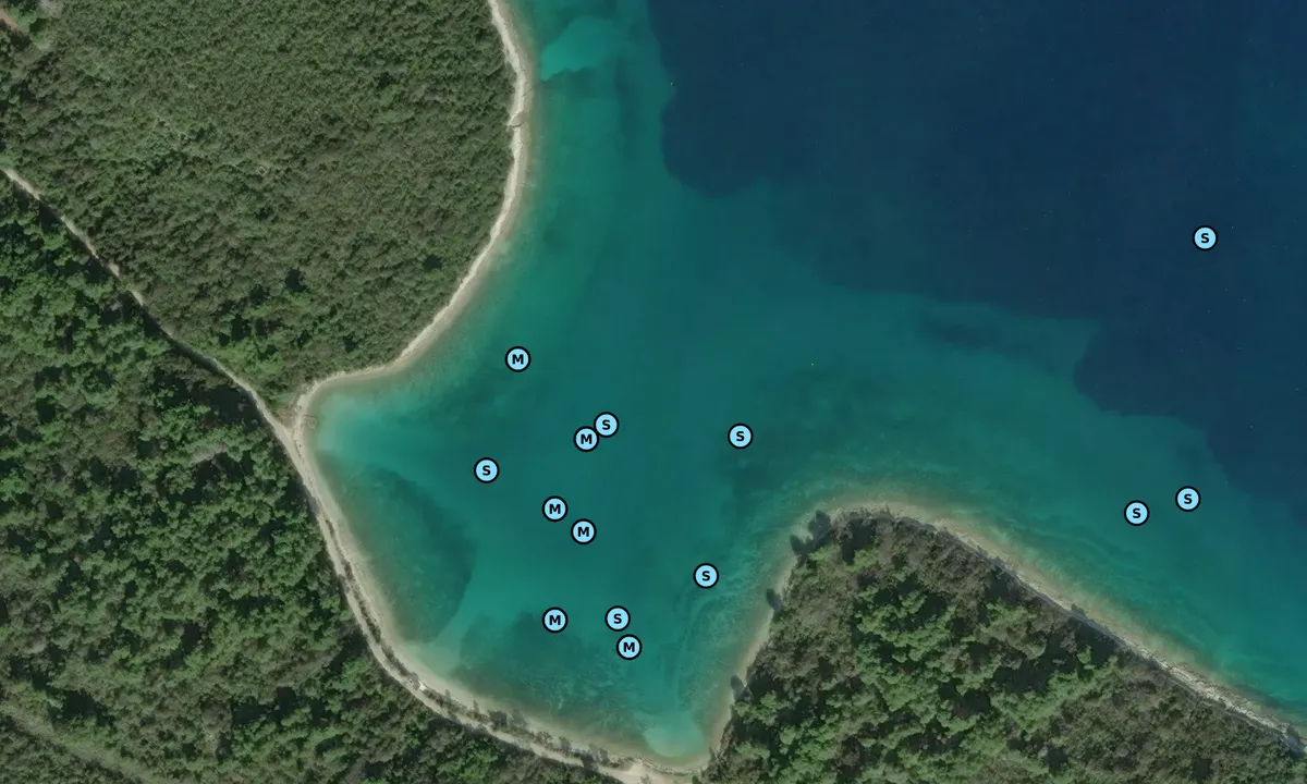 Satelite image of Zaliv Pantera - Soliscica