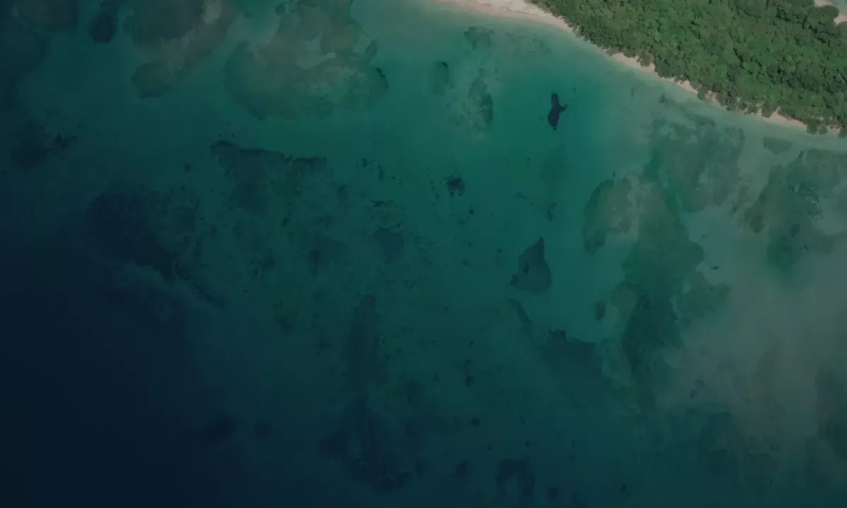 Satelite image of Zapatilla Islands