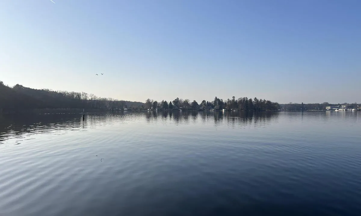 Zeuthener See (km 3): {"base": "de", "no": "Blikk mot S", "se": "Utsikt s\u00f6derut", "en": "View to S", "da": "Udsigt mod S", "fr": "Vue vers le S", "de": "Blick nach S", "es": "Vista hacia el S", "it": "Vista verso S", "pt": "Vista para o S", "nl": "Uitzicht naar Z", "pl": "Widok na S", "uk": "<h1>\u0412\u0438\u0434 \u043d\u0430 \u043f\u0456\u0432\u0434\u0435\u043d\u044c</h1>", "ro": "Privire spre S", "tr": "G\u00fcney'e bak\u0131\u015f", "el": "\u0398\u03ad\u03b1 \u03c0\u03c1\u03bf\u03c2 \u039d", "cs": "Pohled na J", "hu": "Kil\u00e1t\u00e1s D fel\u00e9", "fi": "N\u00e4kym\u00e4 etel\u00e4\u00e4n", "bg": "\u041f\u043e\u0433\u043b\u0435\u0434 \u043d\u0430 \u044e\u0433", "sr": "\u041f\u043e\u0433\u043b\u0435\u0434 \u043a\u0430 J", "et": "Vaade suunda S", "lv": "Skats uz dienvidiem", "lt": "\u017dvilgsnis \u012f pietus"}