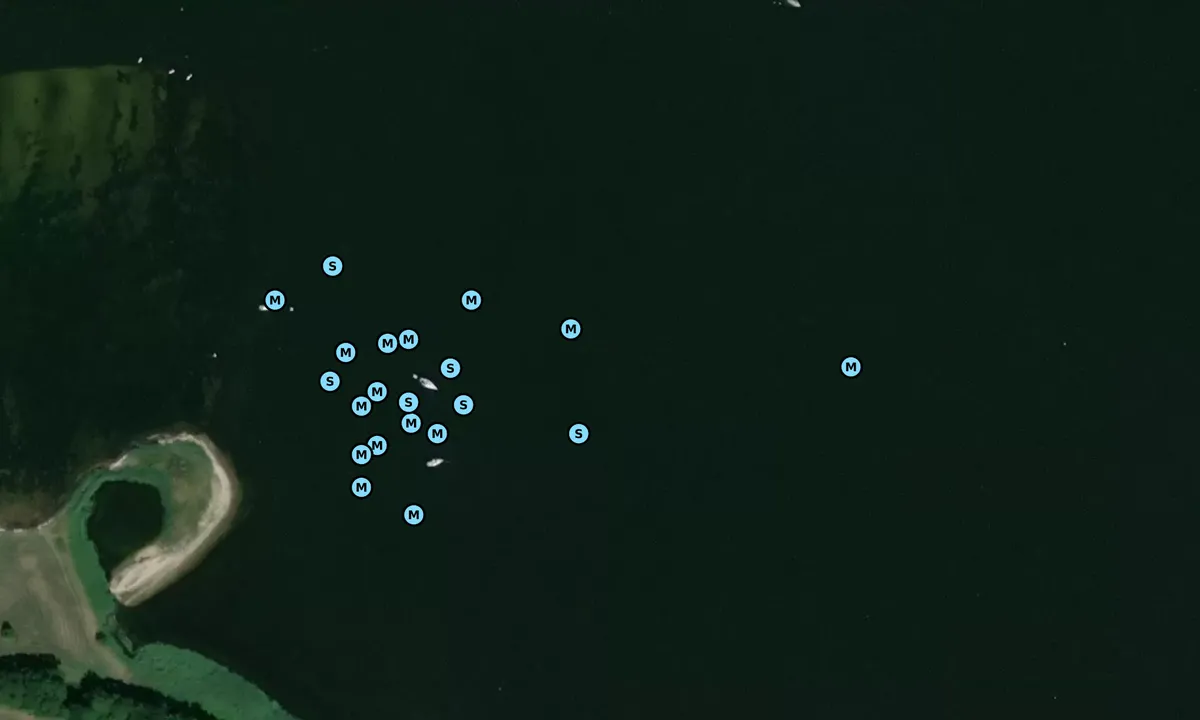 Satelite image of Zicker See